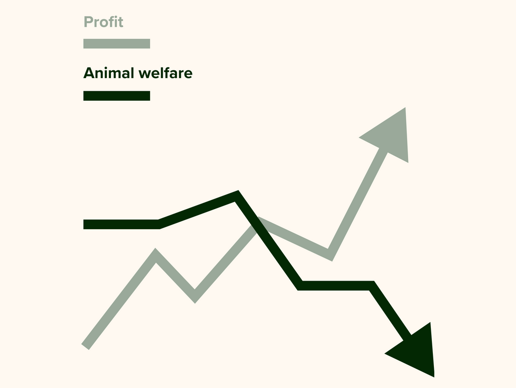 profit / animal welfare growth graph (vector art image)