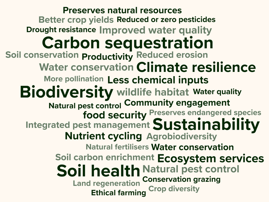 biodiversity / climate change / food security - word bubble (vector art image)