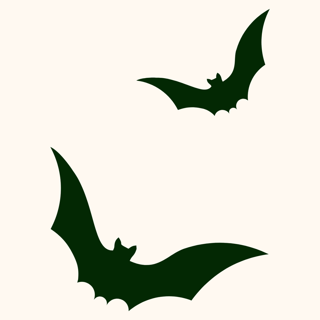How bats help farmers use less pesticide